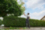Tree Trimming expert service provider