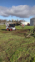 Professional equipment for clearing land cleaning land