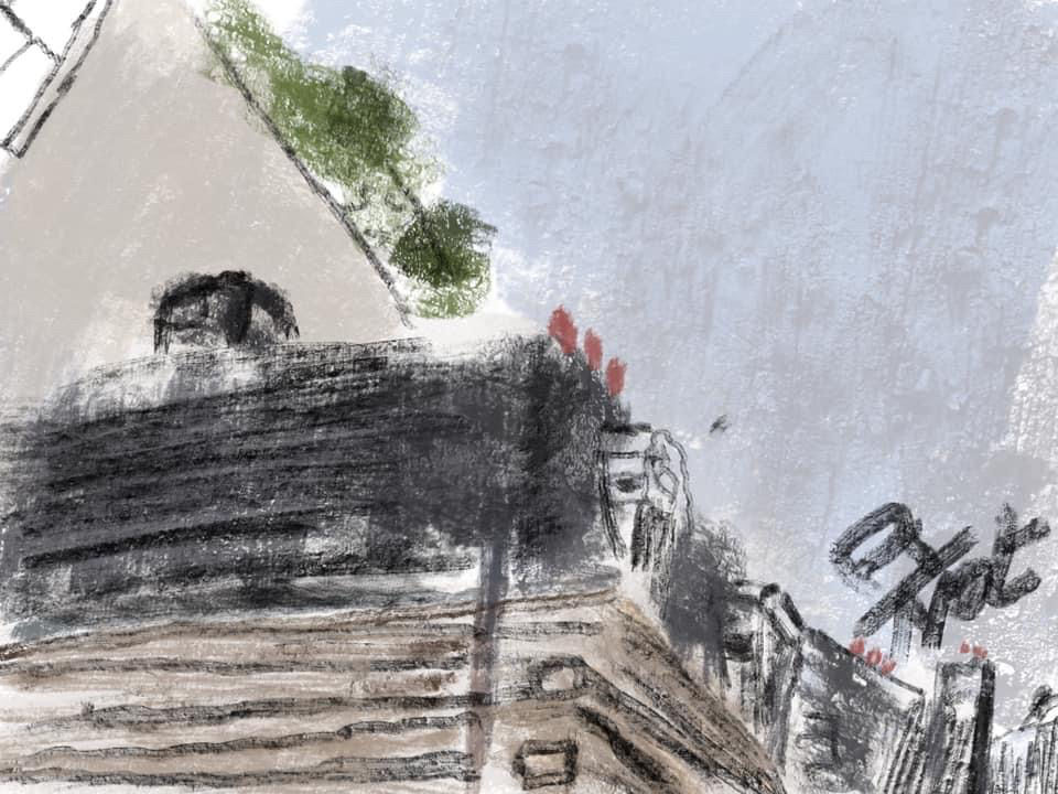 Paris. Fragments de toits.