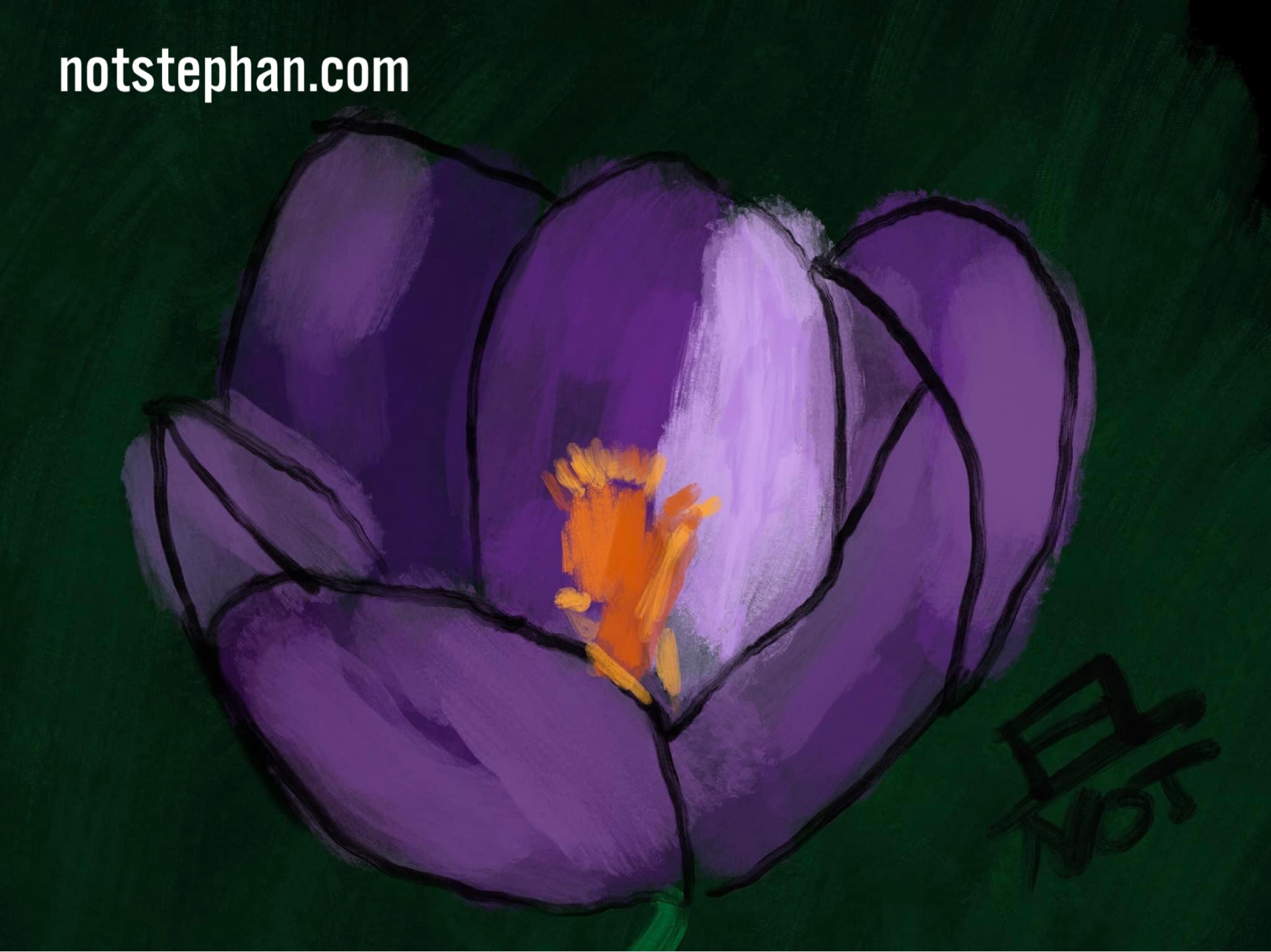 Fleur. 79.