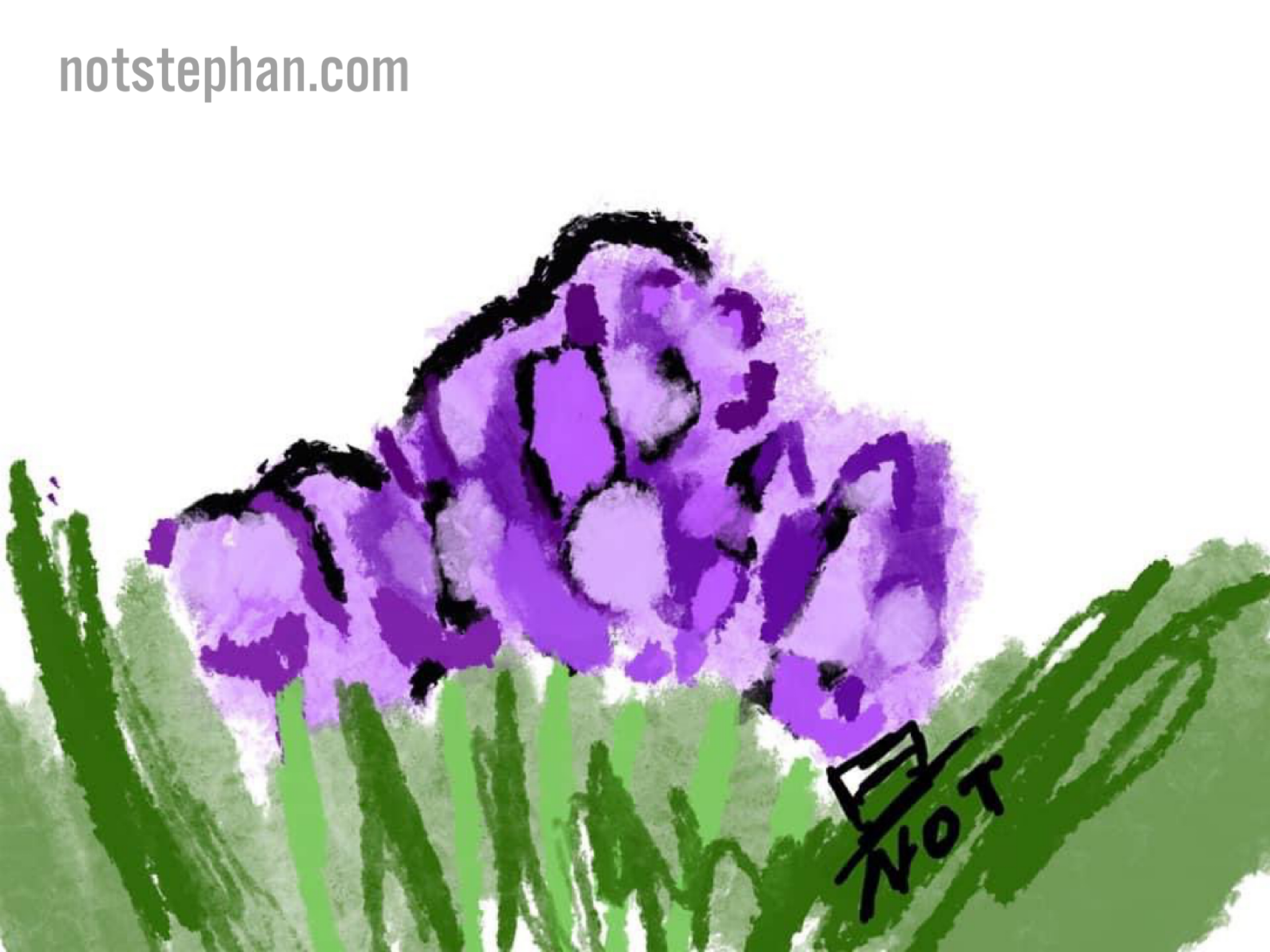 Fleur. 72.