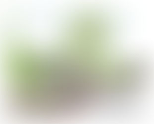 Another Successful Planning Approval for Coastal Regeneration