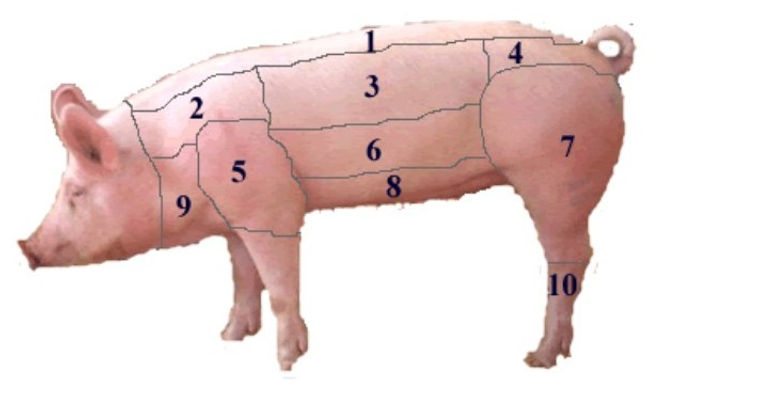 maiale diviso con numeri.jpg