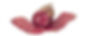 lonza.jpg