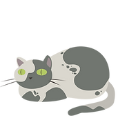 grey splotchy cat loaf
