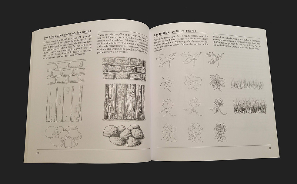 Miniature : Le Dessin Progressif