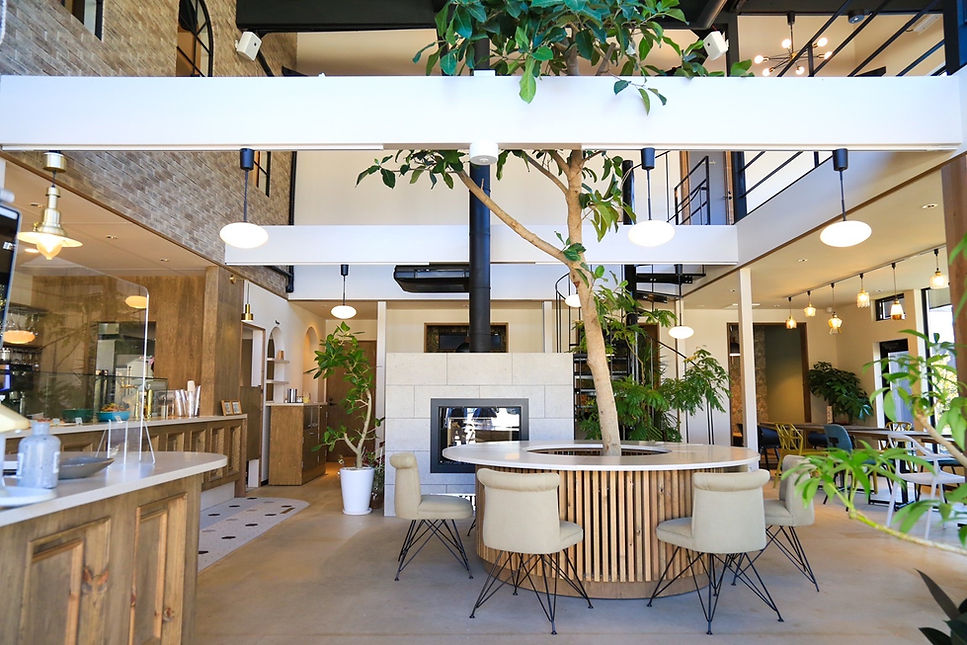 IMG_2606 2.JPG