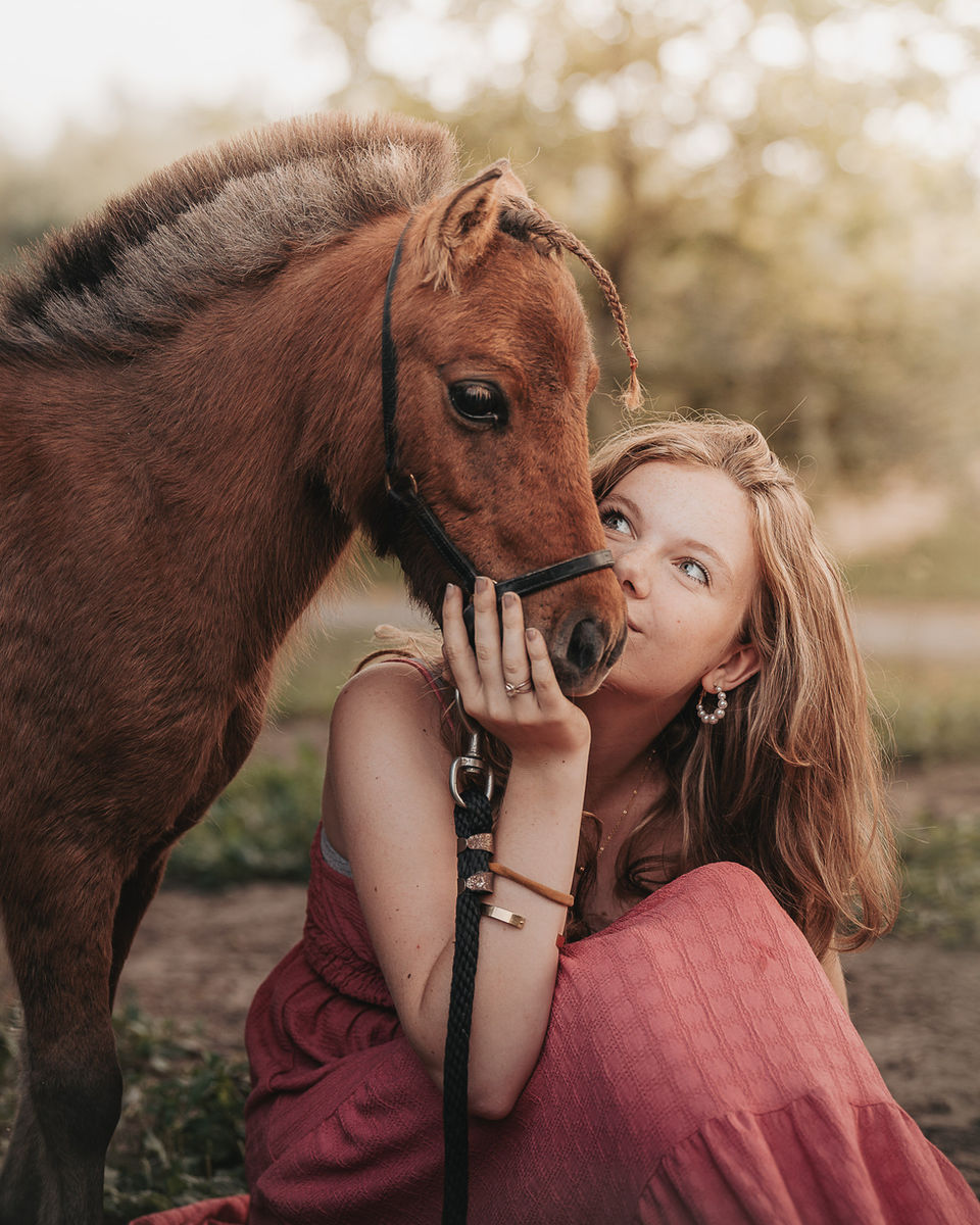 portret paard dierenfotografie - huisdier - paardenfotografie - equine equinefotografie