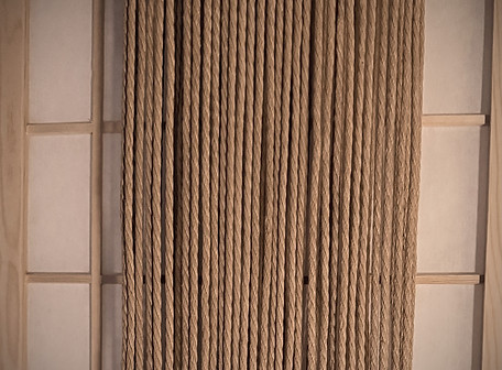 WhatsApp Image 2025-08-21 at 21.25_edited.jpg