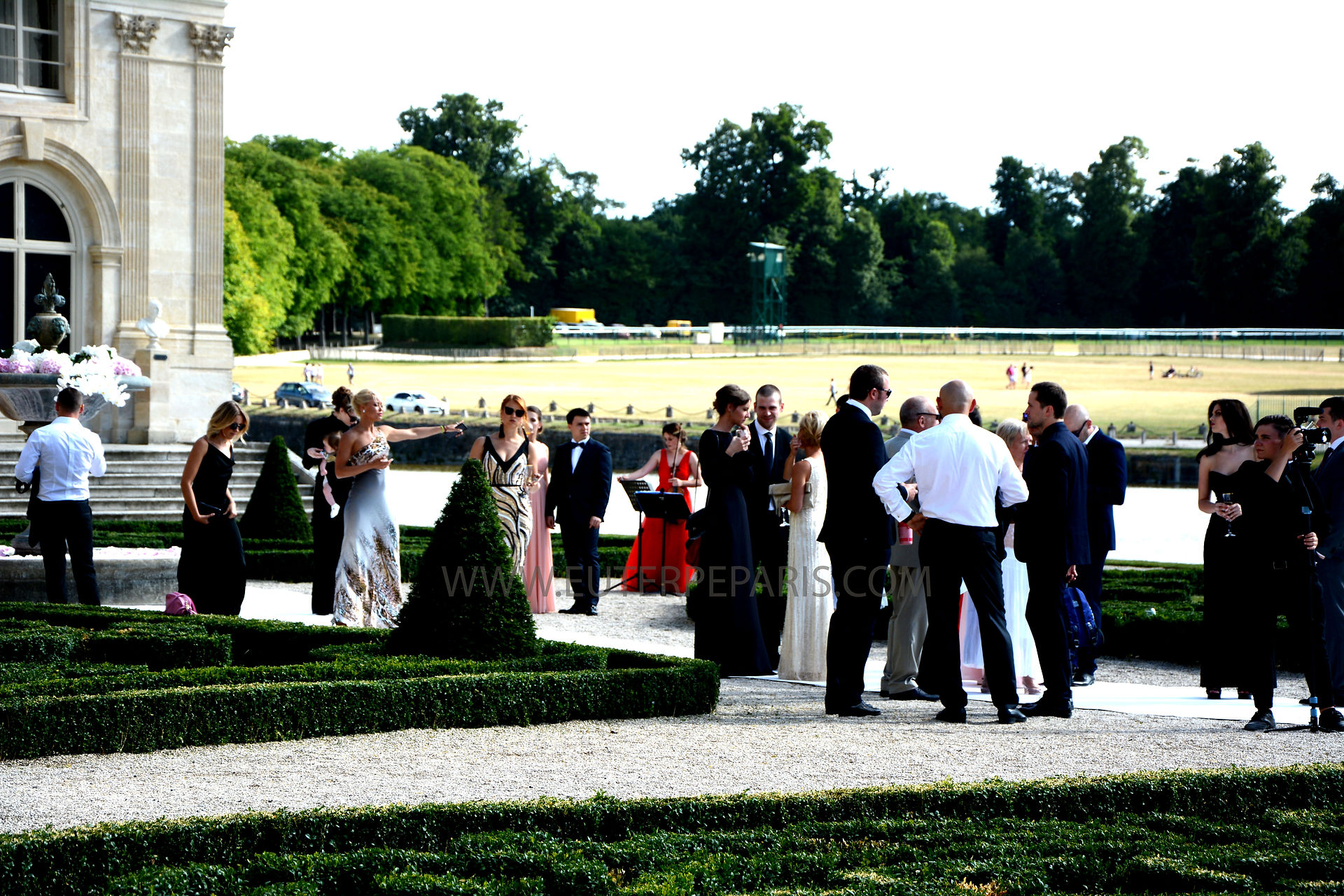 cocktail, musique, reception