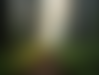 Essential Tips for First-Time Hunters in Oregon