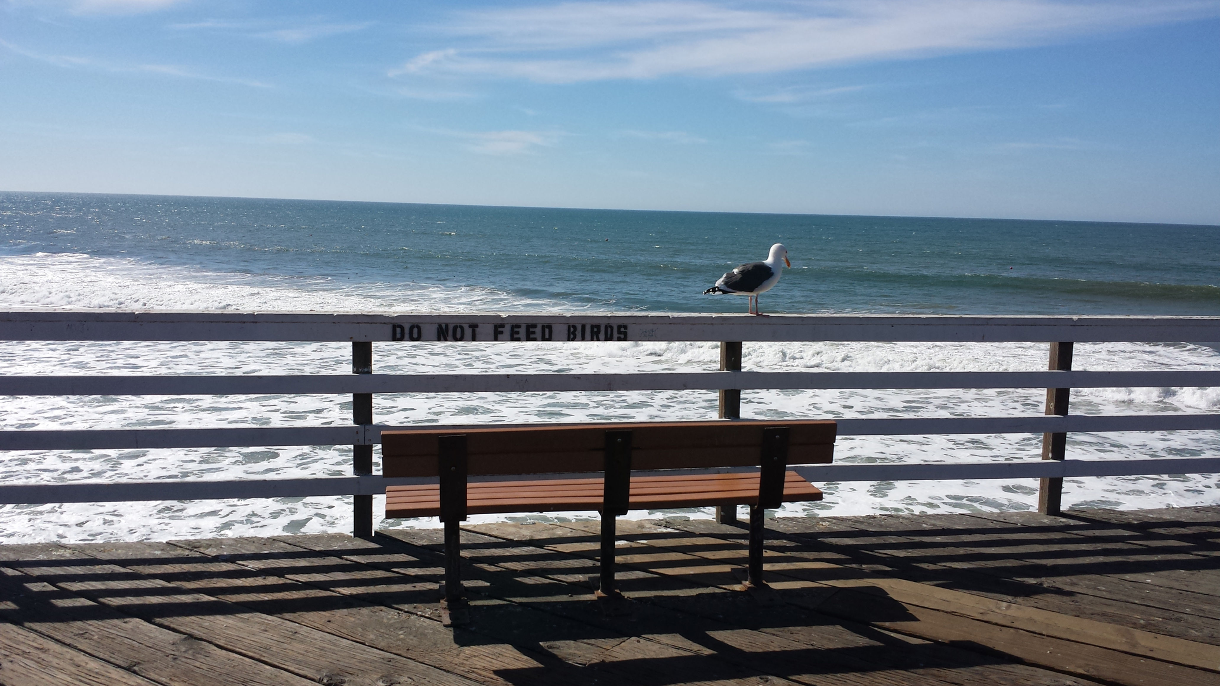pier california


