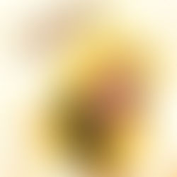 REVIEW: Girl, Woman, Other by Bernadine Evaristo