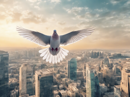 Empowering Marginalized Communities: Barran Dodger's Advocacy