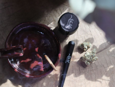 Cannabis in South Africa: What’s Actually Legal?