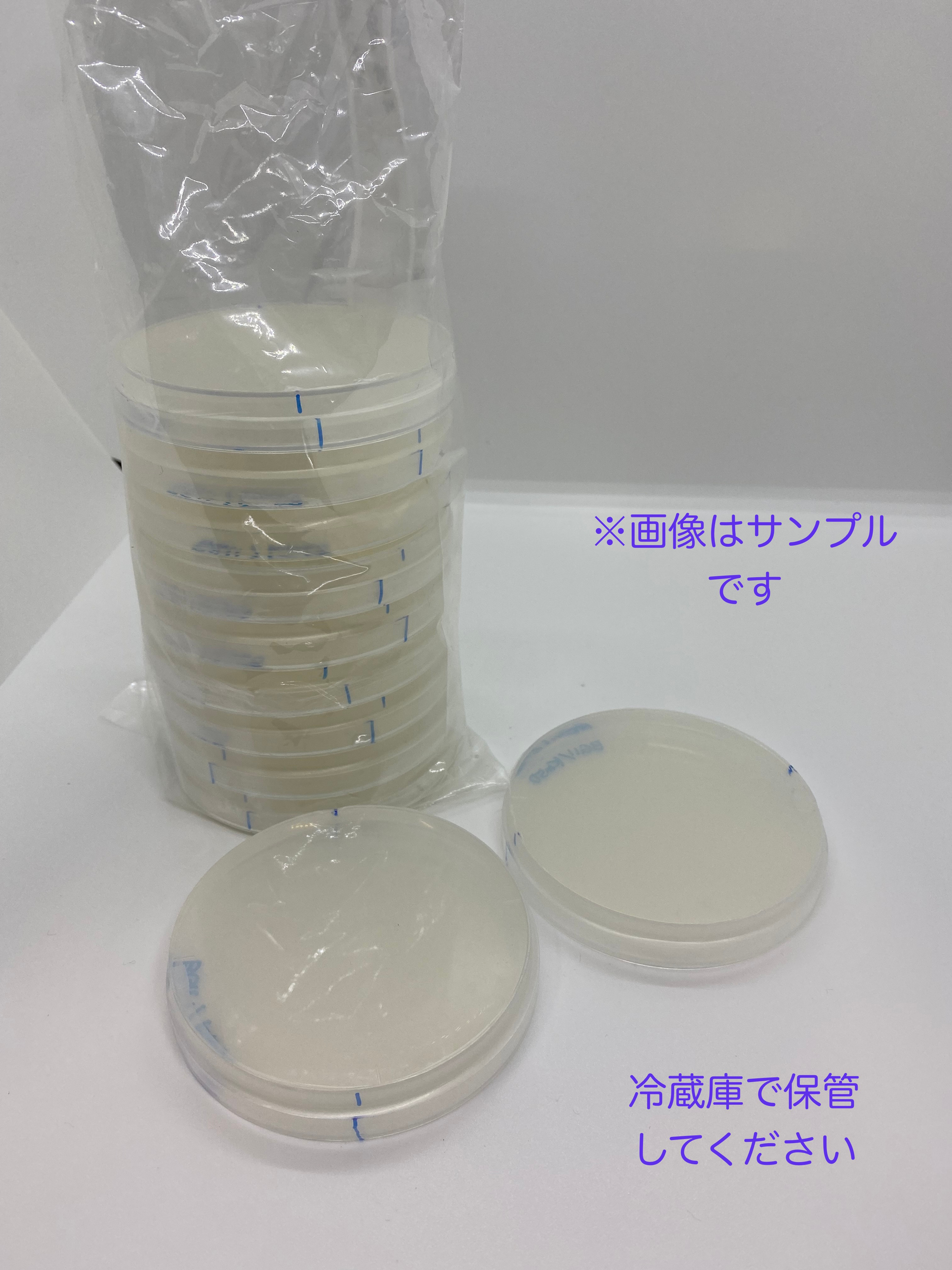 BG-11固体培地（10枚）