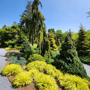View of Landscape at Bayard Cutting Arboretum.jpg