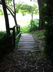 photo 3.JPG