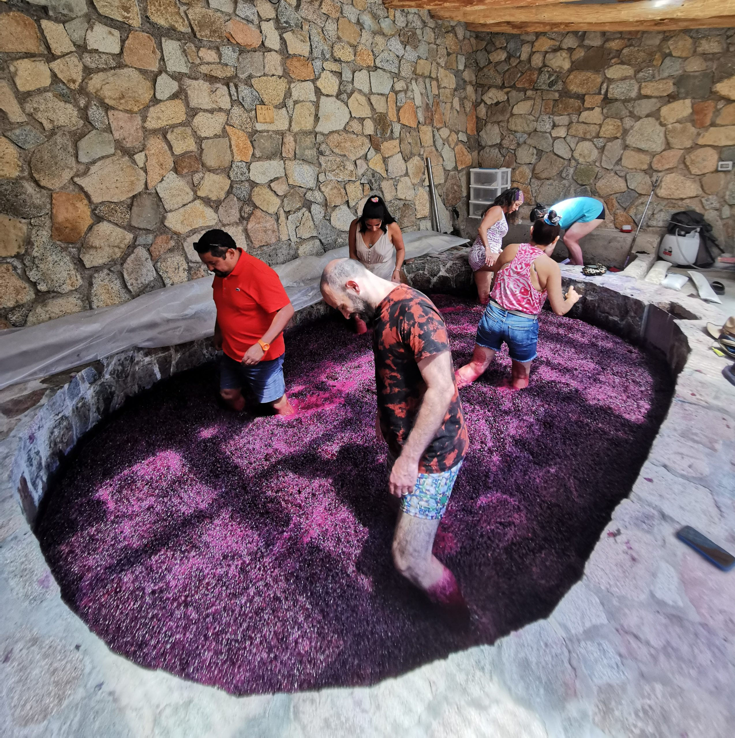 Elqui Adventures - Vinedos de Alcohuaz - lagar de piedra con uva pisada
