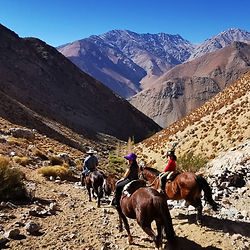 Elqui Adventures - Cabalgata Cuarzo Rojo Gigante - fila de caballos hacia la cordillera