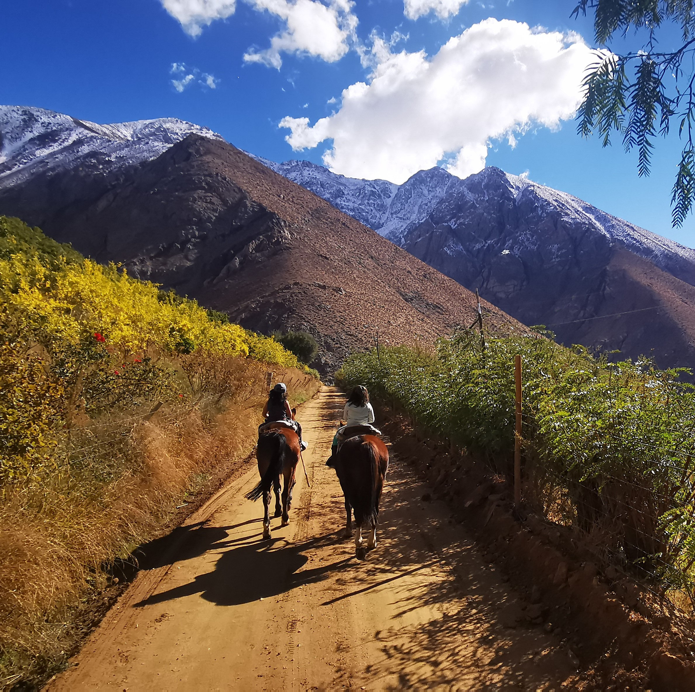 Elqui Adventures - Cabalgata por Alcohuaz - foto 1