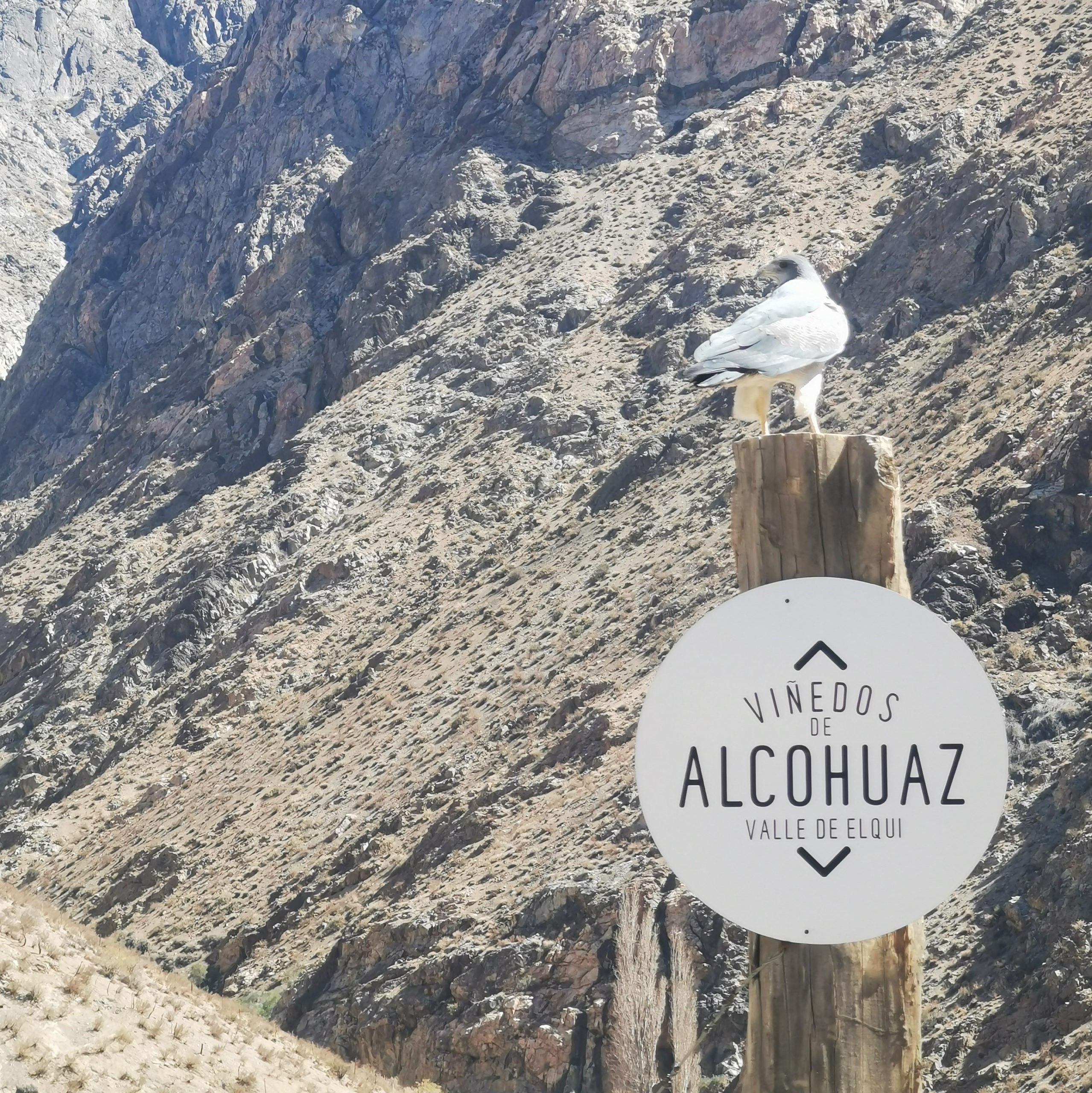 Elqui Adventures - Cabalgata Vinas de Alcohuaz - foto 1