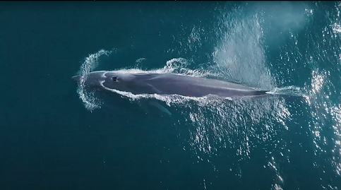 Captura de Pantalla 2020-12-12 a la(s) 19.14.09.png