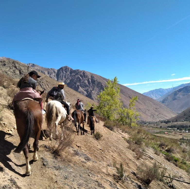 Elqui Adventures - Cabalgata Hierbas Medicinales - grupo a caballo en el sendero