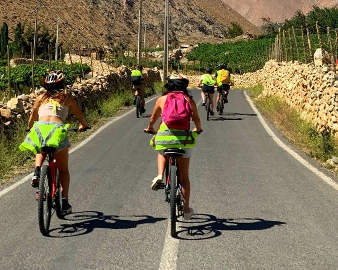 Migrantes - Ruta en Bicicleta - grupo bajando entre parronales y pircas