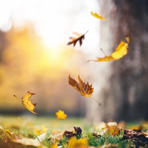 Libra Season: The Catalyst