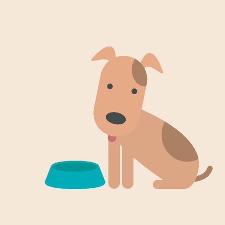 Beneficios de adoptar un canino