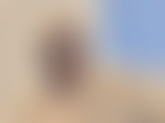 Employee Spotlight: David Abe