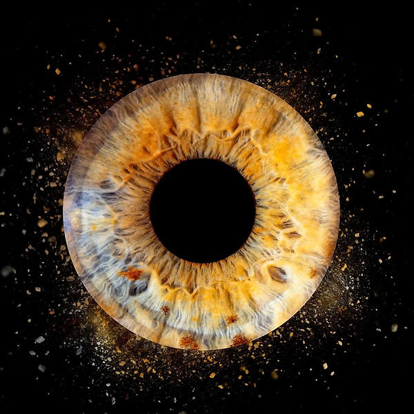 Portrait d’iris artistique aux détails colorés, réalisé près de La Rochelle