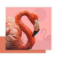 Instagram post - 25.png