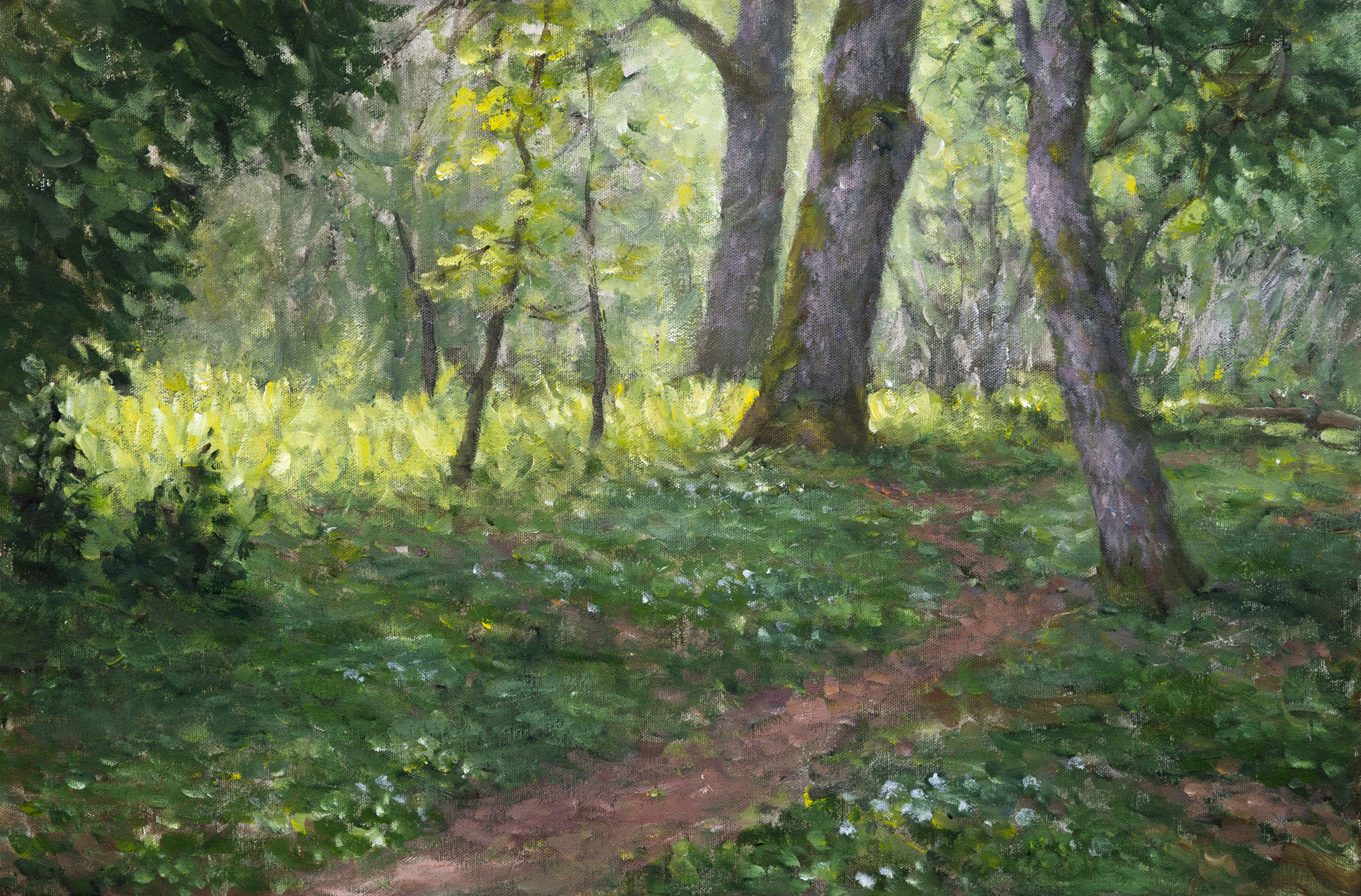 "Dyretråkk ved Andelva"