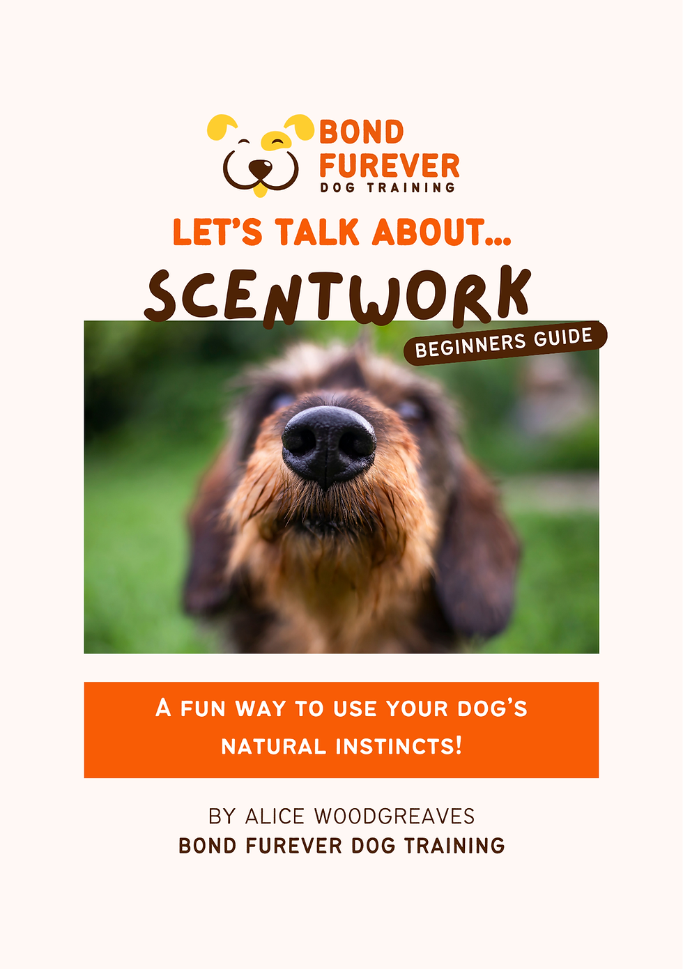 Thumbnail: Let's Talk About Scentwork... For Beginners!
