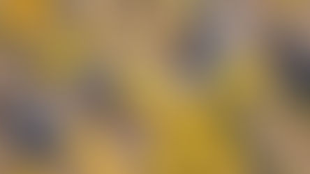 Référencer un site WIX: Outils de référencement