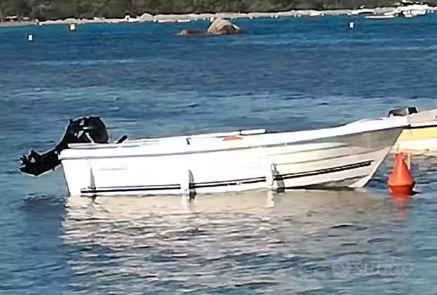 Miniatura: QUICK SILVER 440 FISH