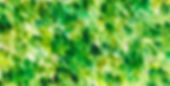 PetitesHistoiresResurrection_ULULE_teaser_visuel-1_edited_edited.jpg