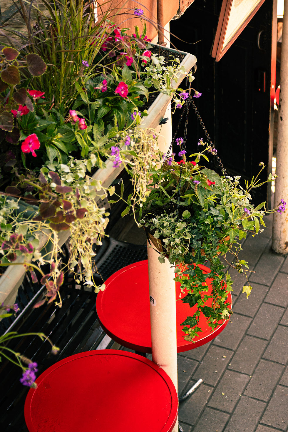 storefront-1.jpg