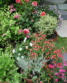 flowers2.png