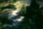 landscape garden
