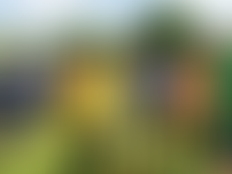 教師專業力全面升級！ICTA培訓案例揭示教育質素飛躍的秘密