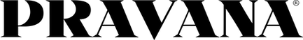 pravana professional logo