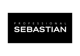 Sebastian professional logo