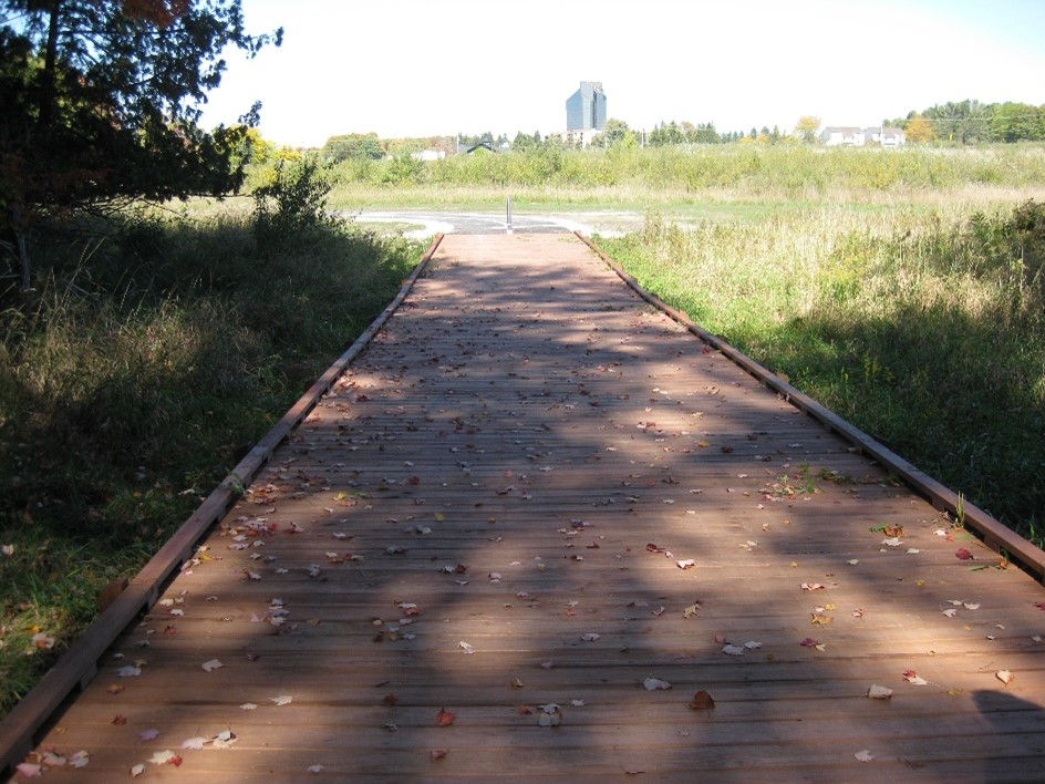 Acme Trail Boardwalk