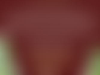 Annual Holiday Potluck! December 12, 2025