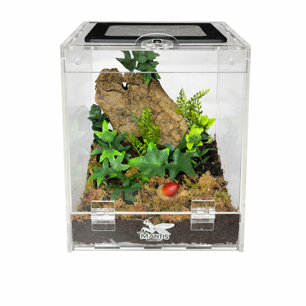 Complete Praying Mantis Starter Kit