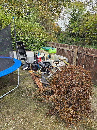 Brown curly-haired dog in a backyard garden with a blue trampoline and leafy green background