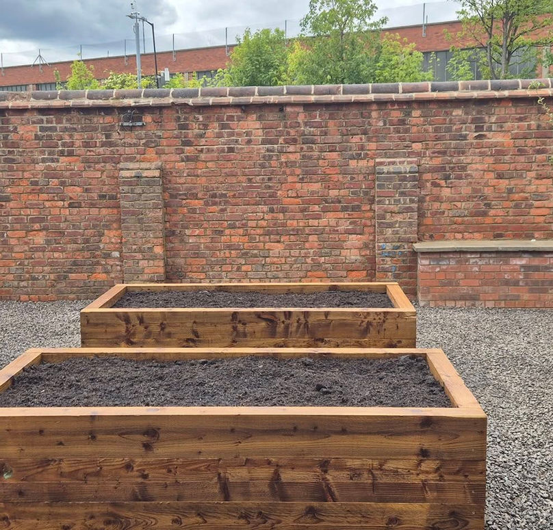 Wooden planters filled with soil are set on a gravel area against a background of a tall